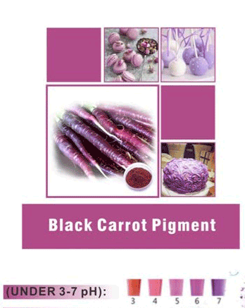 BLACK CARROT PIGMENT