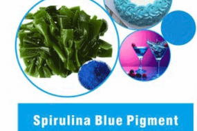 SPIRULINA BLUE PIGMENT