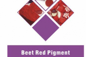 BEET RED PIGMENT