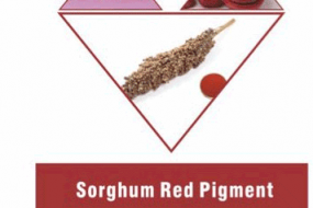 SORGHUM RED PIGMENT