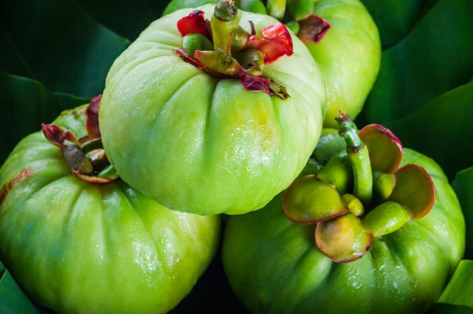 Information on current initiatives on food supplements containing Garcinia Cambogia on alert 2021.3300, as well as the previous 2020.1614