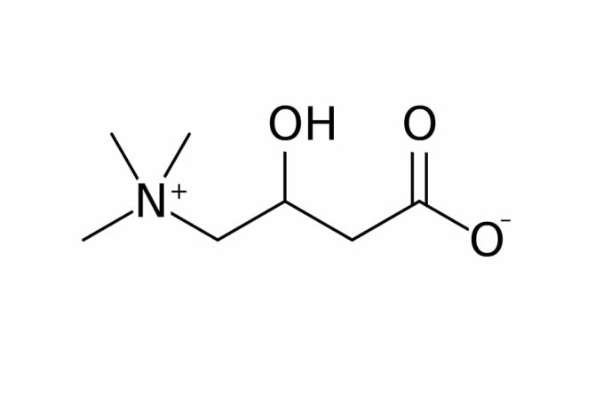 L-CARNITINA BASE