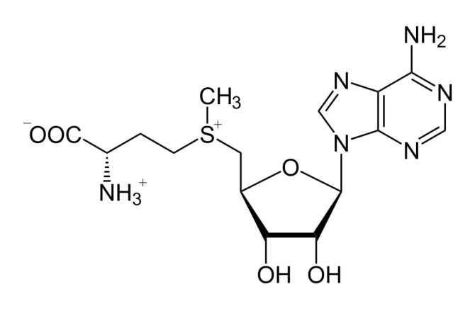 SAME (S-ADENOSINA-L-METIONINA)