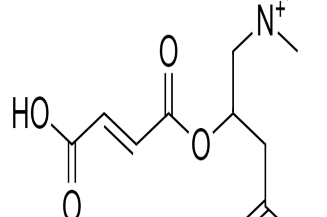 L-CARNITINA FUMARATO