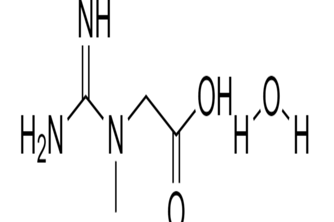 CREATINA MONOIDRATO