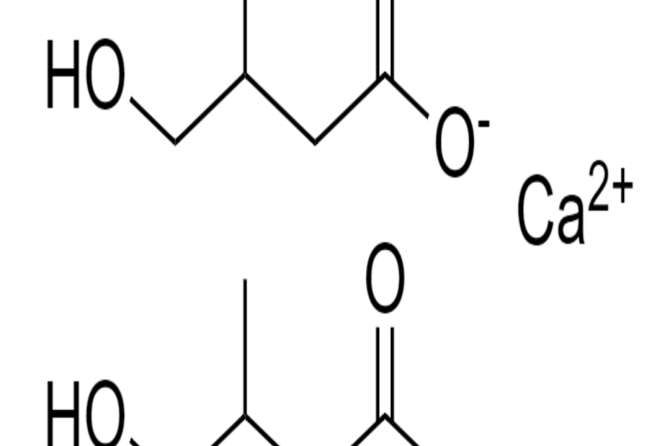 HMB CALCIO ( beta-idrossi-metil-butirrato sale di calcio)