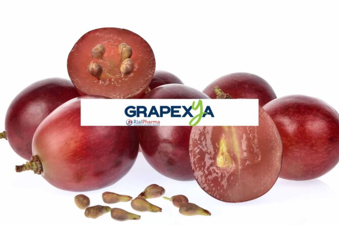 Grapexya: un estratto di semi d’uva con benefici antiossidanti, cardiovascolari e antimicrobici