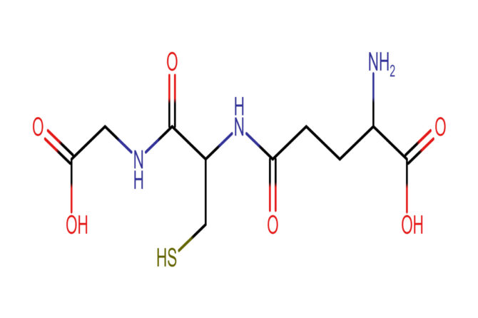 Glutathione: the powerful ally for the success of your nutraceutical business